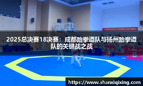 2025总决赛18决赛：成都跆拳道队与扬州跆拳道队的关键战之战