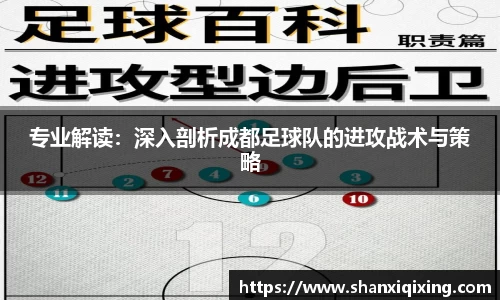 专业解读：深入剖析成都足球队的进攻战术与策略